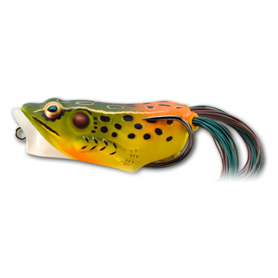 LIVE TARGET POPPING FROG 2" 3/8OZ