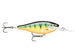 GILDED PERCH