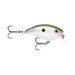 GREEN GIZZARD SHAD