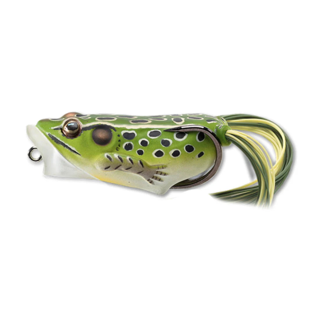 LIVE TARGET POPPING FROG 2" 3/8OZ