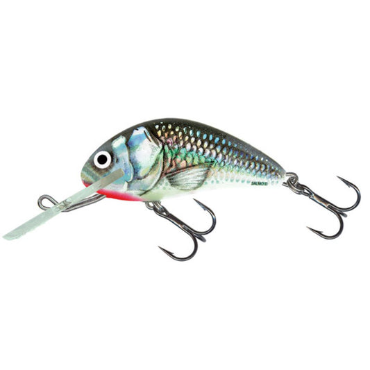 SALMO HORNET 4" FLOATING LURE