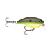 HOT COPPER GREEN SHAD