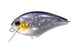ICE SHAD