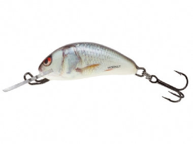 3 hornet fishing lure SALMO SINKING – Mias Angling & Scuba Classic Accessories Colorado XT Abu Garcia Sea Caster 6'ft-9ft