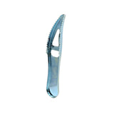 SOUTH BEND GALVANIZED FISH SCALER