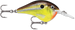 HOT MUSTARD