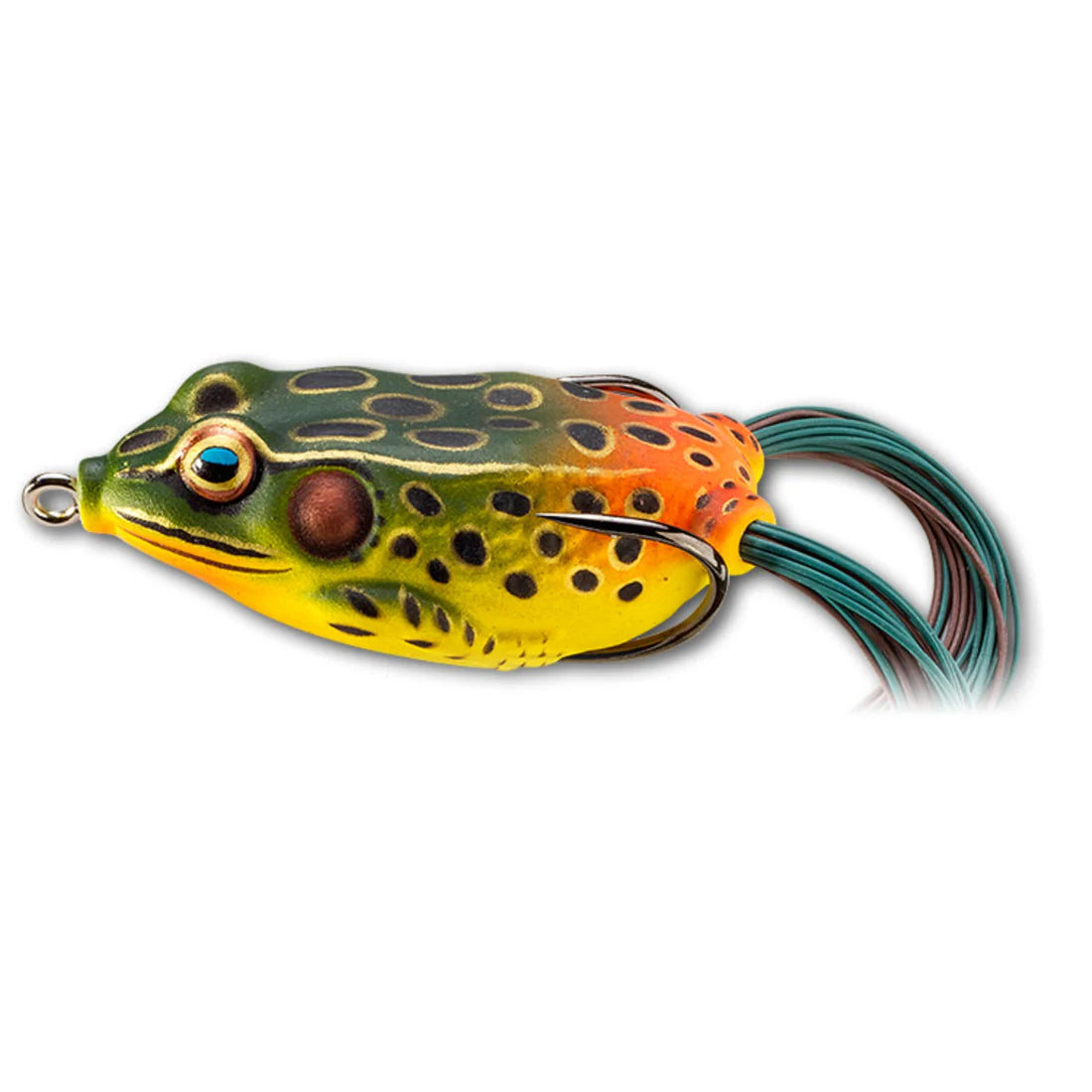 LIVE TARGET FROG