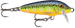 HOT STEEL