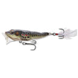 LIVE TARGET FROG POPPER 2'5" 1/4OZ