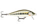 GILDED MINNOW
