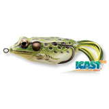 LIVE TARGET FROG