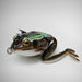TREE FROG