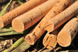 KORDA CORK STICKS