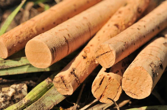 KORDA CORK STICKS
