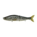 LARGE MOUTH BASS