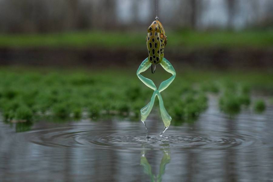 LIVE TARGET ULTIMATE FROG WEEDLESS POPPER