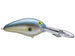 SEXY SHAD
