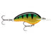 OGT07 - PERCH