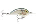 OGT07 - SHAD