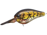 EVER GREEN PICCOLO DS #81 BL BROWN CRAW