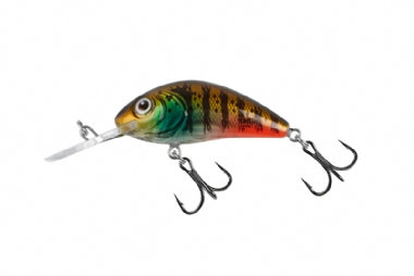 SALMO RATTLIN HORNET 4.5 FLOATING LURE