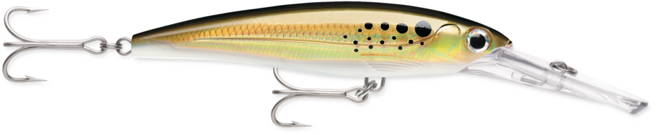 RAPALA X RAP MAGNUM XRMAG-30
