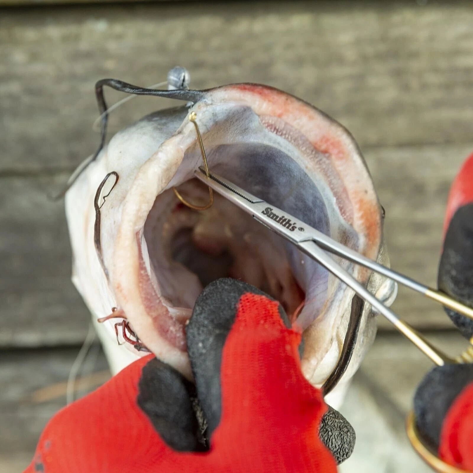 SMITH'S FORCEPS 5" HEMOSTATS SILVER/GOLD