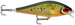 SCALED ROACH
