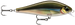 SMELT ON THE BEACH