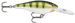 YELLOW PERCH